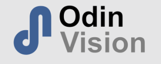 odin logo