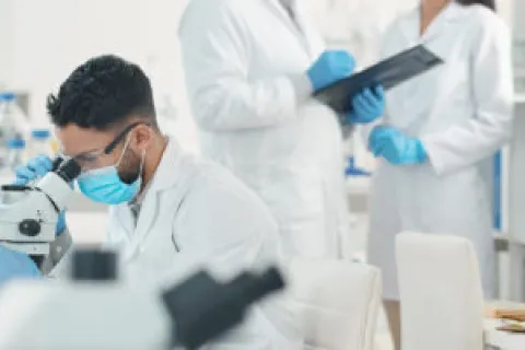 Lab work stock photo