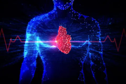 hologram body with heart