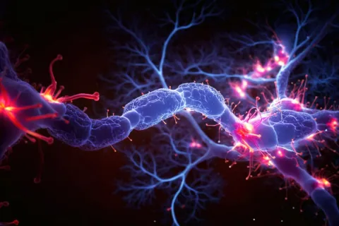 3d rendered image of neuron cell network on black background