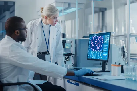 Two Scientists Use Computer with Screen Showing DNA Gene Analysis, 