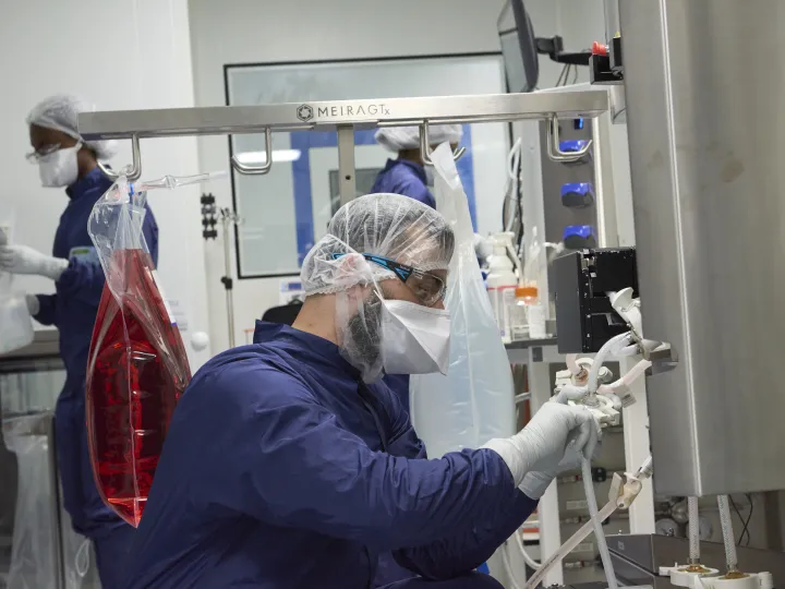 MeiraGTx lab with technician working