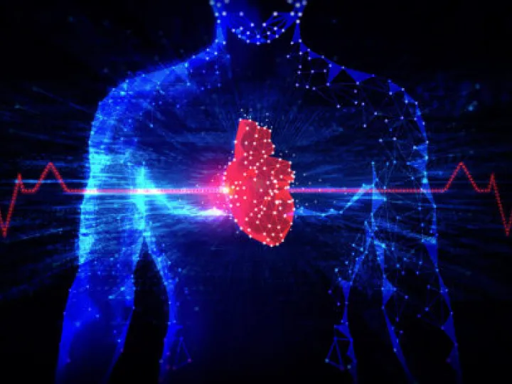 hologram body with heart