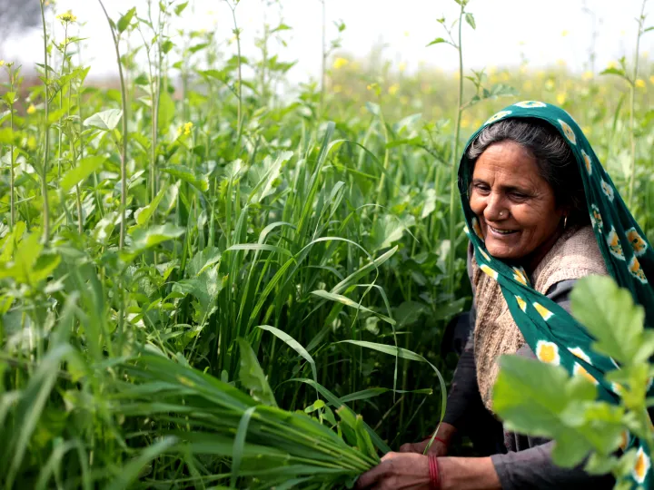 woman in a headdress in a field of crops